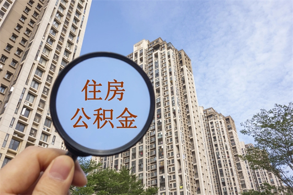 林芝公积金代办（林芝公积金代办费用是什么意思）